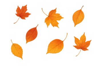 Falling autumn leaves creating a vibrant seasonal pattern, orange and yellow foliage on transparent background