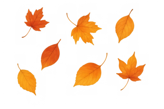 Falling autumn leaves creating a vibrant seasonal pattern, orange and yellow foliage on transparent background