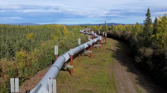 Aerial view of the silver Trans-Alaska Pipeline winding through a vibrant green landscape with trees, grass, and mountains in the background, Fairbanks, Alaska, United States.