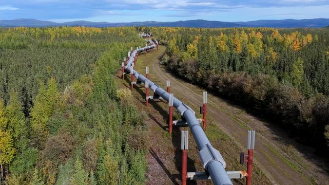 Aerial view of a pipeline cutting through a vibrant forest, contrasting the industrial structure with the natural beauty of the landscape, Fairbanks, Alaska, United States.