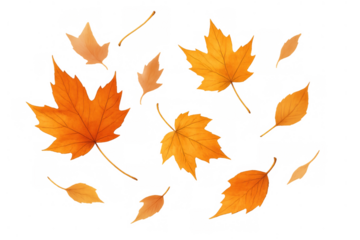 Falling autumn leaves creating a vibrant seasonal background on a transparent canvas, symbolizing change and nature's cycle