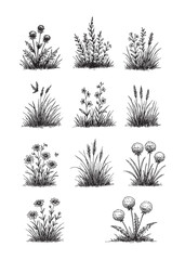 Vintage vector set of grass and shrub illustrations in black and white engraving style, perfect for landscape and botanical designs.