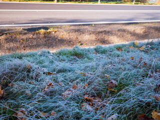 Frost-covered grass beside an asphalt road on a cold autumn morning. First frost of the season with fallen leaves and sunlight creating a crisp seasonal scene.