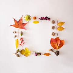 Creative natural layout made of autumun flora.Neatly organised.Flat lay.Copy space