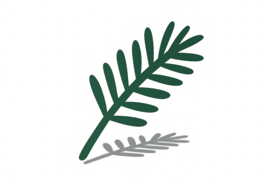 Green plant leaf graphic element with drop shadow for design and decoration on transparent background