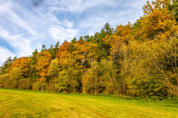 Autumn forest in Germany, in Bavaria