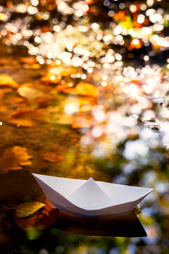 Papierboot in einer Pf&uuml;tze zwischen Herbstbl&auml;ttern