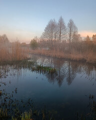 Obraz premium misty morning on the river