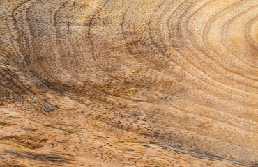 Natural wood grain texture background, interior design visuals, or woodworking inspiration