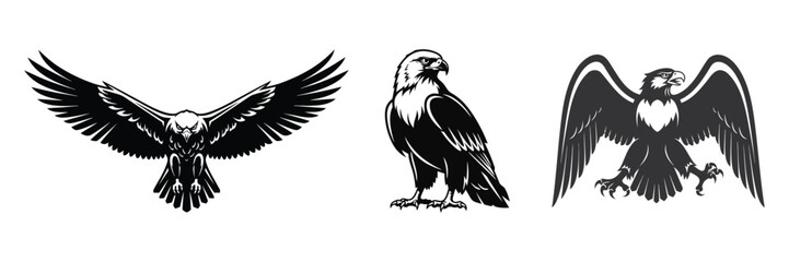 Eagle bird mascot flying and standing vector illustration set