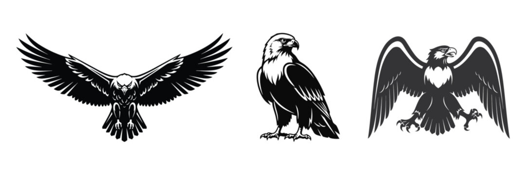 Eagle bird mascot flying and standing vector illustration set