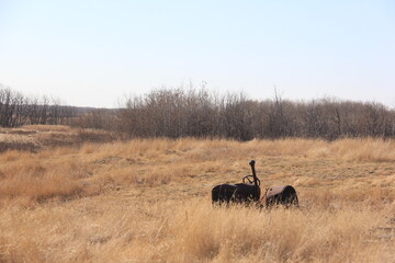 Abandoned Places and Scenery Near Earl Grey Saskatchewan