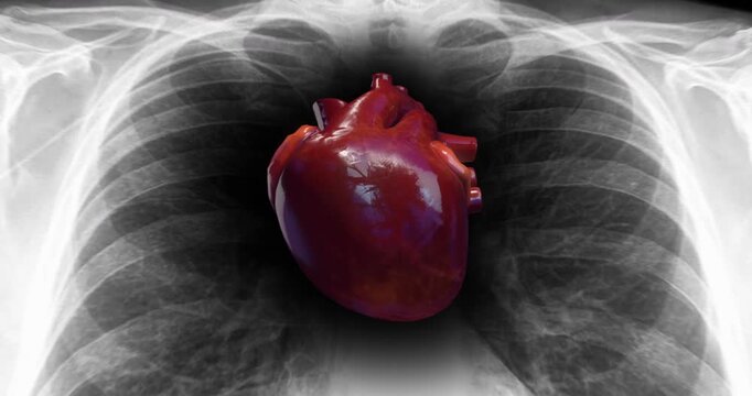 3D realistic pumping heart and vein animation medical background. Medical and health related 3D animation. 