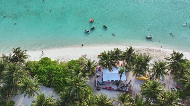 Aerial view of the beach with turquoise waters meeting the white sand, fringed by lush green palm trees, Thoddoo, Alif Alif Atoll, Maldives.