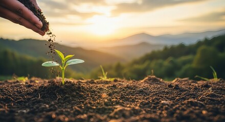 Hand planting a seedling in fertile soil at sunset with mountains