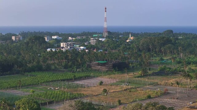 Aerial view of a tall tower rising above the lush greenery, adjacent to a white sand beach, and buildings, Thoddoo, Alif Alif Atoll, Maldives.