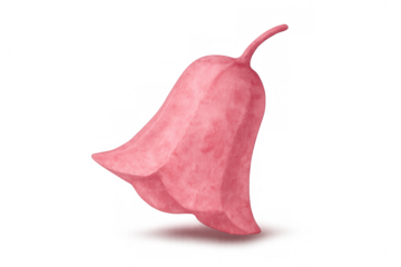 Pink bellflower watercolor illustration featuring a blossoming plant element with a soft texture on transparent background