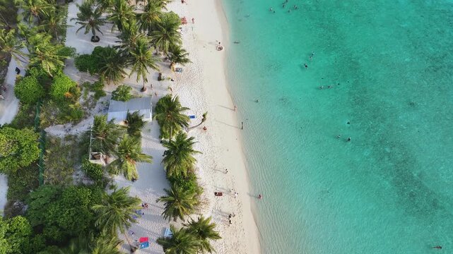 Aerial view of people enjoying the turquoise sea and white sand beach fringed with palm trees, creating a striking contrast of colors, Thoddoo, Alif Alif Atoll, Maldives.