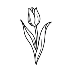Obraz premium Elegant black and white line drawing of a single tulip flower
