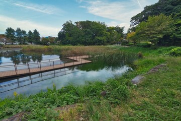 Obraz premium 秋の風景