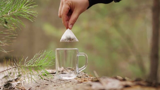 A transparent glass mug stands empty on a wooden log in the forest. A hand gently drops a new herbal teabag inside, capturing a calm, natural moment of tea preparation outdoors.