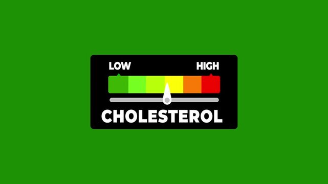 cholesterol animated bar speedometer measuring low to high with chroma Green screen background.