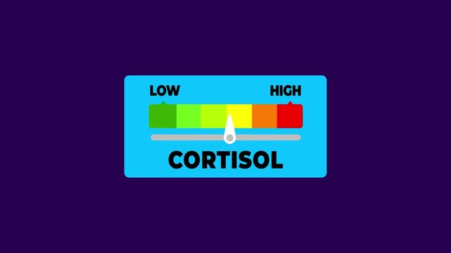 cortisol animated bar speedometer measuring low to high with chroma Green screen background