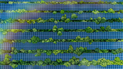 Solar panels installed in the green forest, clean alternative energy concept, sustainable energy,...