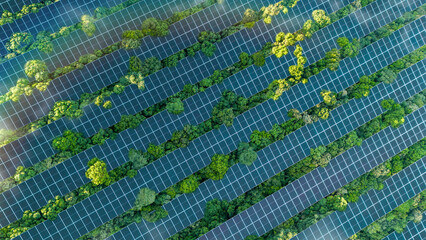 Fototapeta premium Solar panels installed in the green forest, clean alternative energy concept, sustainable energy, environment, solar power, generator