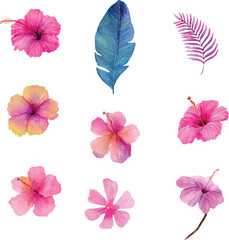 collection of pink flowers