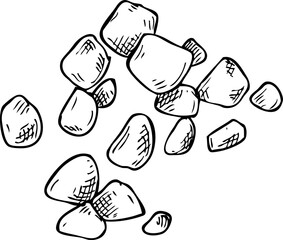 Baobab - exotic plant sketch.  Exotic fruit hand drawn vector illustration. African tree drawing. NOT AI generated