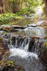 Flowing stream cascades over rocky terrain surrounded by lush greenery, creating a serene natural environment with vibrant autumn leaves and soft sunlight filtering through trees