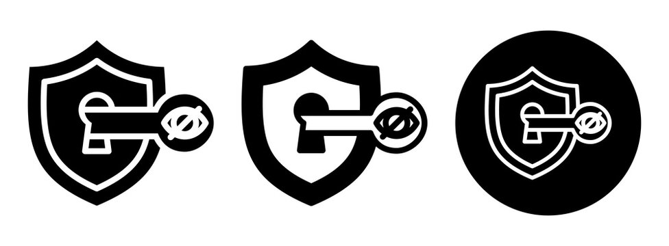 Private Key Icon Collection Glyph & Mixed Style