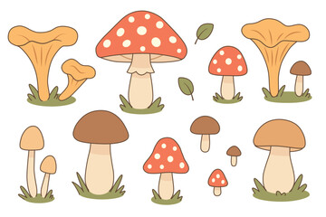 Cute cartoon mushroom set with chanterelles, fly agarics, boletes. Perfect for kids design, autumn decor, packaging, stickers, educational materials. Flat vector illustration on white background