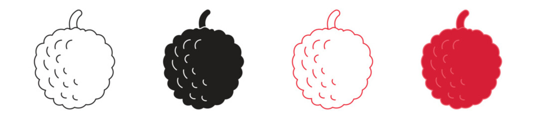 Fresh lychee icon set, vector illustration on white background.
