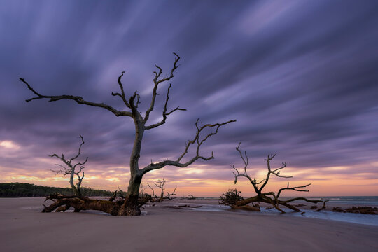 Long exposure of storm clouds over a tree at Hunting Island State Park in South Carolina 