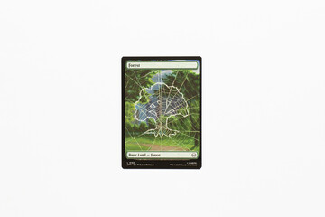 Naklejka premium Bradford, UK Nov 3 2025 Forest, basic land card from Spider-man magic the gathering card game shot isolated on a white paper background.