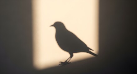 "High-Quality Bird Photography Collection &ndash; Colorful Tropical, Wild, and Exotic Birds in Nature | 8K Wildlife Stock Photos"