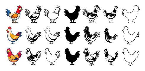 Fototapeta premium Set of Rooster Chicken Vector Graphics Poultry Farm Bird Animal Agriculture Mascot Cartoon