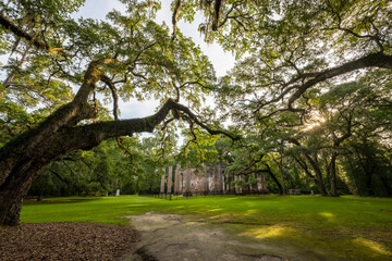 Oak trees surrounding Old Sheldon Church ruins in South Carolina 