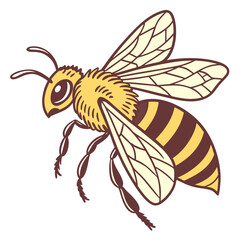Illustration of a bee with yellow and brown striped body