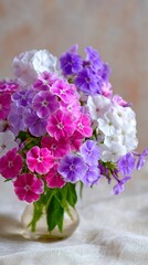 Delicate phlox flowers in vibrant pink, purple, and white hues arranged in a clear glass vase, creating a soft and elegant floral composition with gentle background