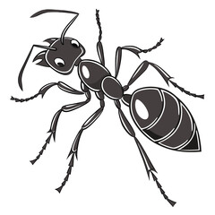 Illustration of a cartoon ant with detailed features shown