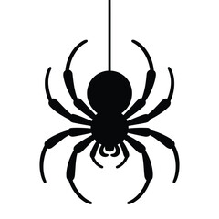 Hanging silhouette of a black spider on a white background