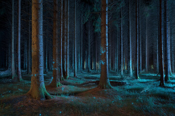 Mystical forest with illuminated trees and dark blue night background  