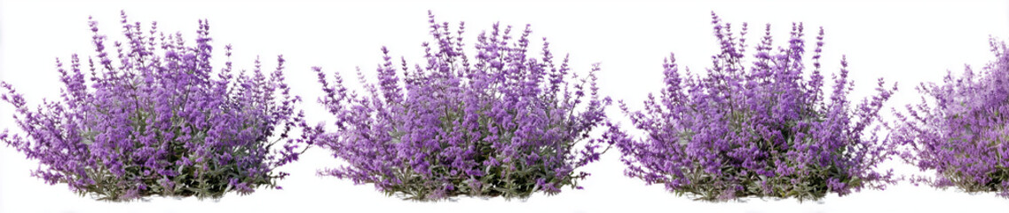 Naklejka premium 3 realistic trees in different sizes, white background