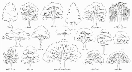 Collection of various tree silhouettes, showcasing different shapes and sizes