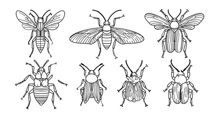 Set of hand drawn beetle for coloring book or decorative design