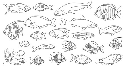 Collection of various fish species in black and white