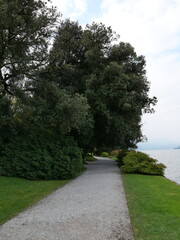 Serene Lakeside Pathway Surrounded by Greenery